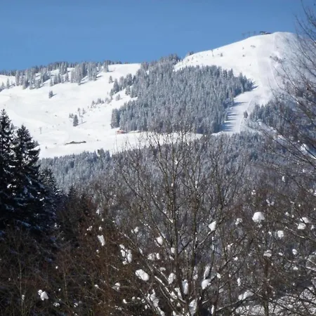 In Near Slopes