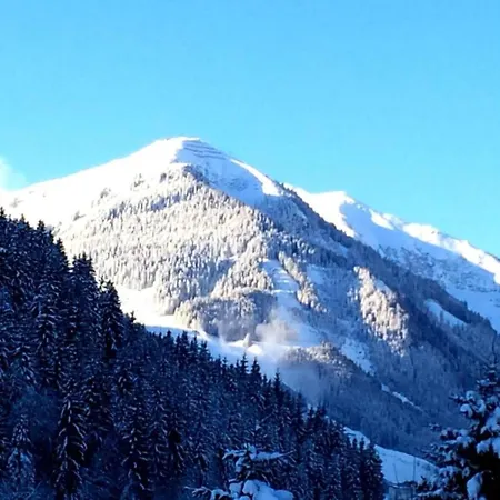In Near Slopes Saalbach-Hinterglemm