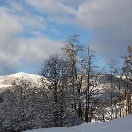 In Near Slopes Dağ evi
